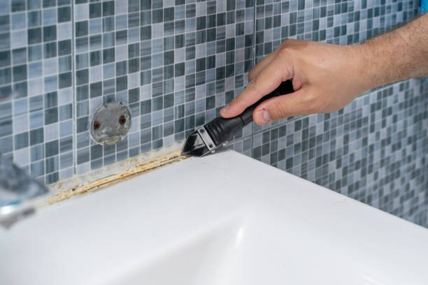Best Localized Mold Remediation (e.g., coastal areas, humid climates) in Portales, NM